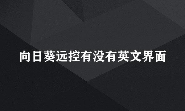 向日葵远控有没有英文界面