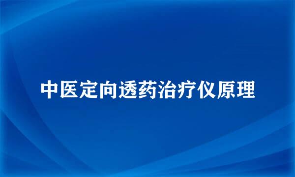 中医定向透药治疗仪原理