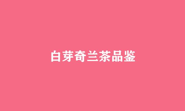 白芽奇兰茶品鉴