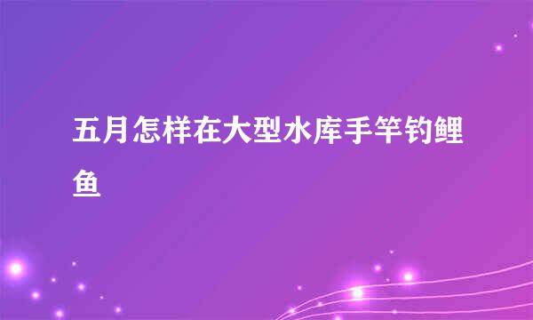 五月怎样在大型水库手竿钓鲤鱼