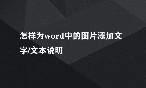怎样为word中的图片添加文字/文本说明