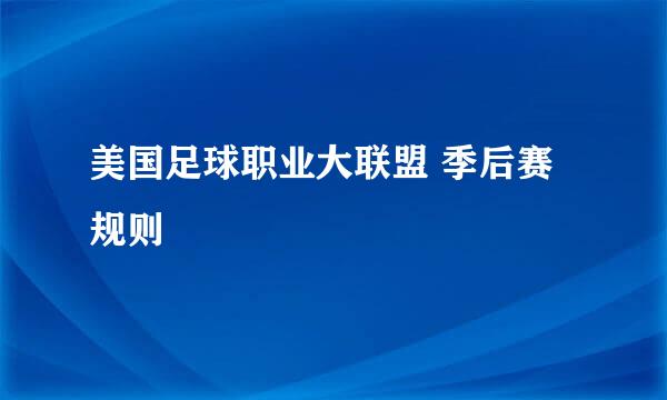 美国足球职业大联盟 季后赛规则 