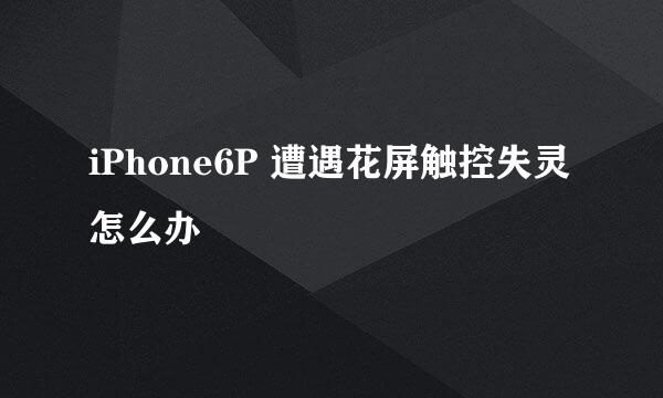 iPhone6P 遭遇花屏触控失灵怎么办