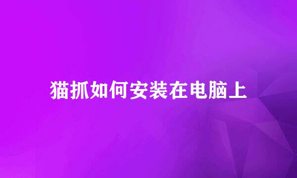 猫抓如何安装在电脑上