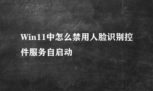 Win11中怎么禁用人脸识别控件服务自启动