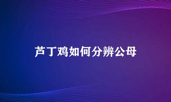 芦丁鸡如何分辨公母
