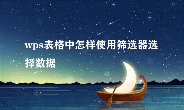 wps表格中怎样使用筛选器选择数据