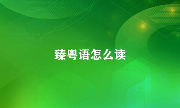 臻粤语怎么读