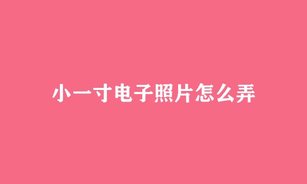 小一寸电子照片怎么弄