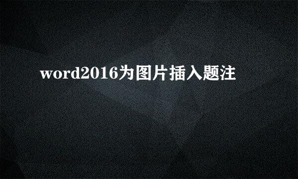 word2016为图片插入题注