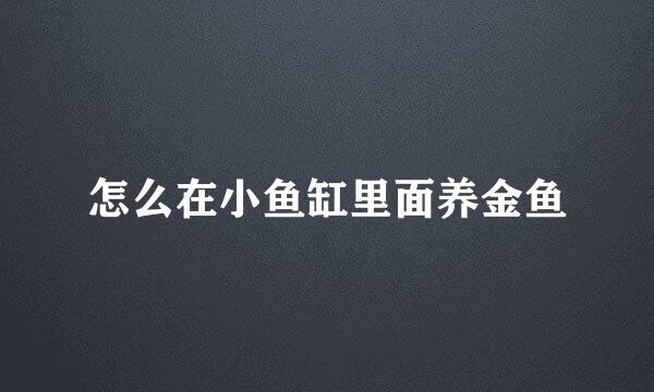 怎么在小鱼缸里面养金鱼