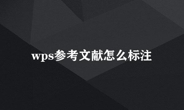 wps参考文献怎么标注