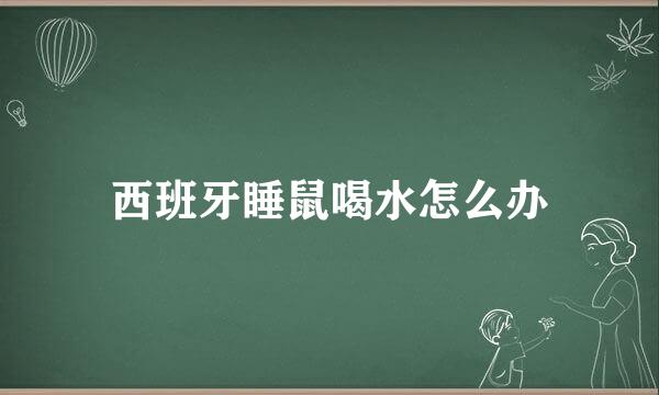 西班牙睡鼠喝水怎么办