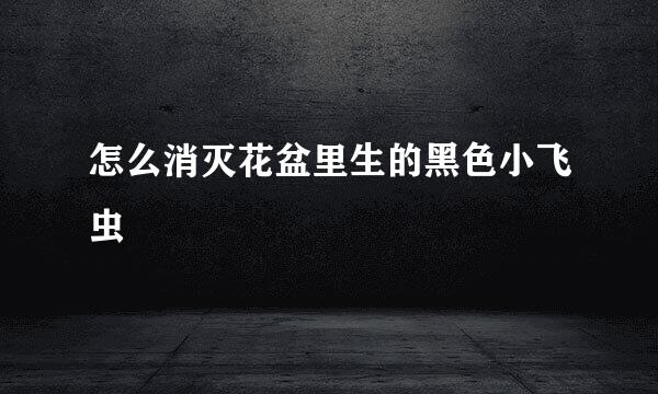 怎么消灭花盆里生的黑色小飞虫