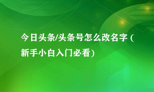 今日头条/头条号怎么改名字 (新手小白入门必看)