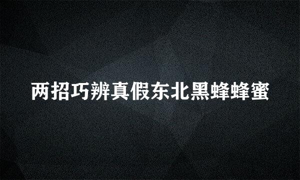 两招巧辨真假东北黑蜂蜂蜜