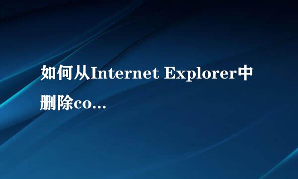 如何从Internet Explorer中删除cookie文件