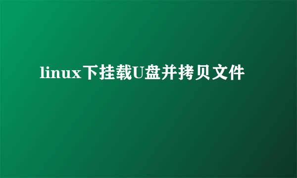 linux下挂载U盘并拷贝文件