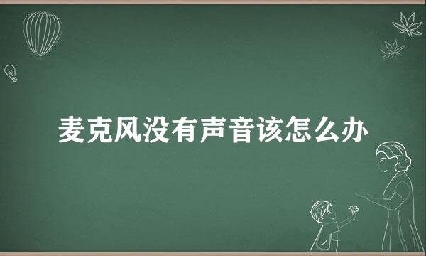 麦克风没有声音该怎么办