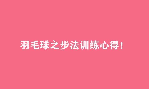 羽毛球之步法训练心得！
