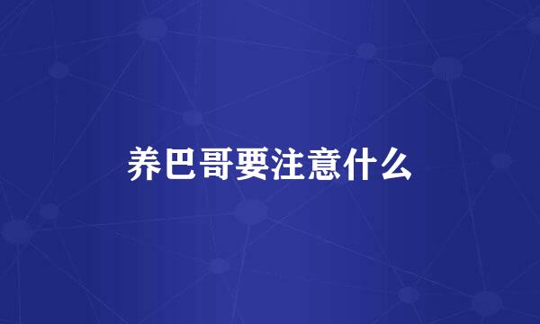 养巴哥要注意什么