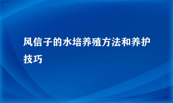 风信子的水培养殖方法和养护技巧