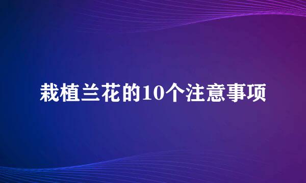 栽植兰花的10个注意事项