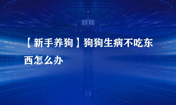 【新手养狗】狗狗生病不吃东西怎么办