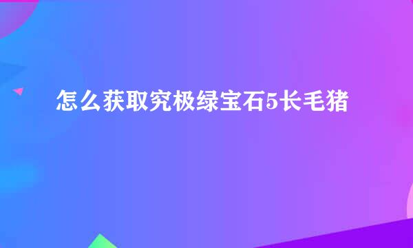 怎么获取究极绿宝石5长毛猪