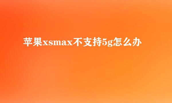 苹果xsmax不支持5g怎么办