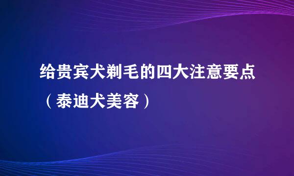 给贵宾犬剃毛的四大注意要点（泰迪犬美容）