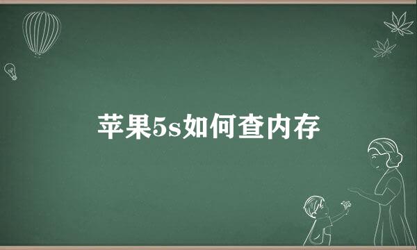 苹果5s如何查内存