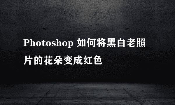Photoshop 如何将黑白老照片的花朵变成红色