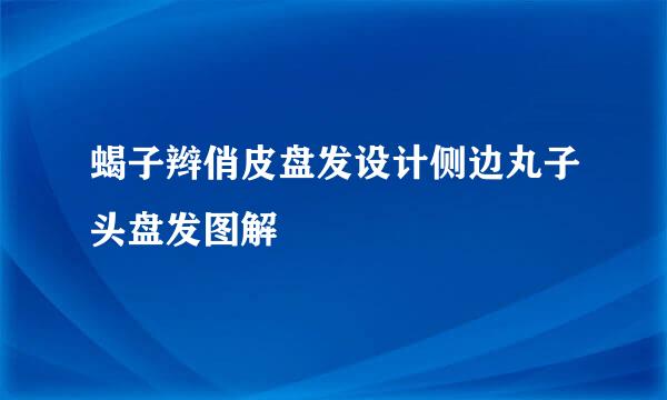 蝎子辫俏皮盘发设计侧边丸子头盘发图解