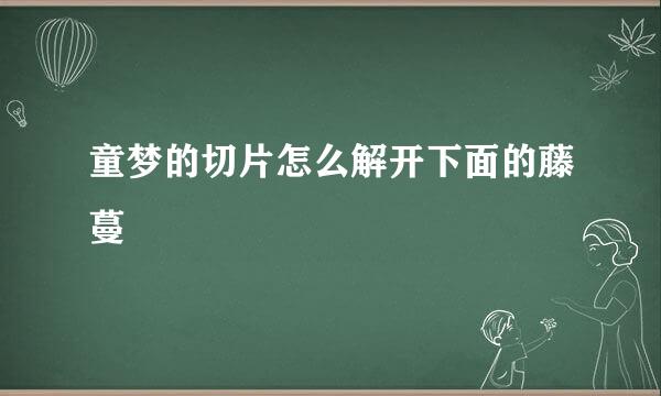 童梦的切片怎么解开下面的藤蔓