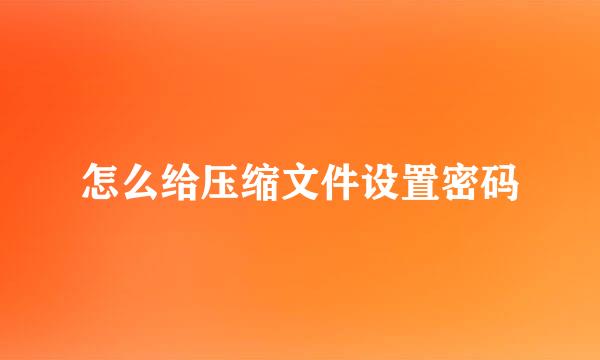 怎么给压缩文件设置密码