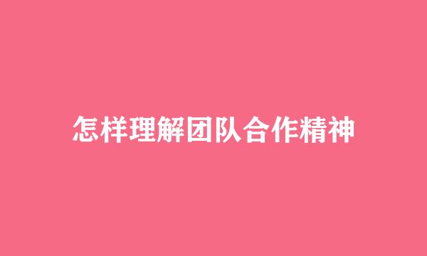 怎样理解团队合作精神