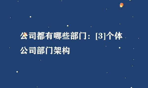公司都有哪些部门：[3]个体公司部门架构
