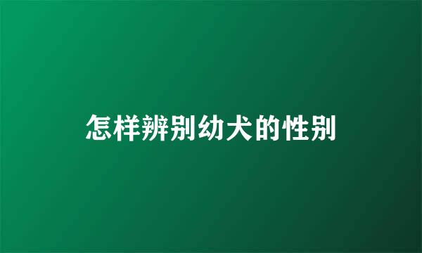怎样辨别幼犬的性别