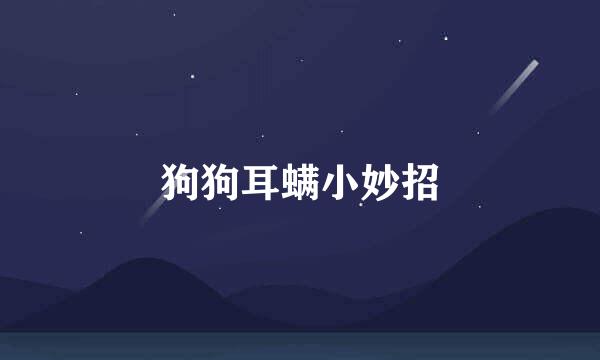 狗狗耳螨小妙招