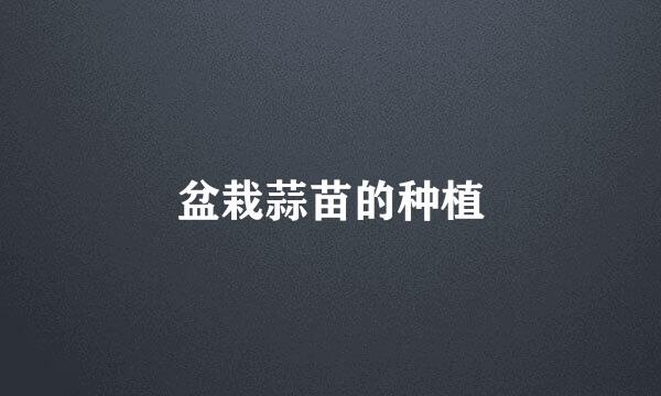 盆栽蒜苗的种植
