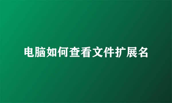 电脑如何查看文件扩展名