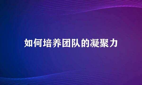 如何培养团队的凝聚力