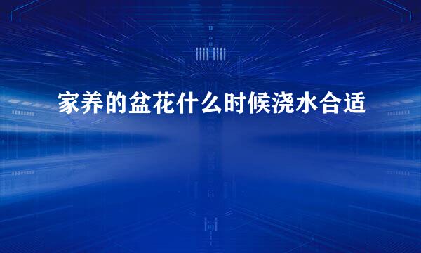 家养的盆花什么时候浇水合适