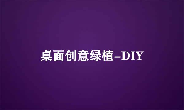 桌面创意绿植-DIY