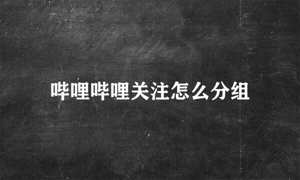 哔哩哔哩关注怎么分组