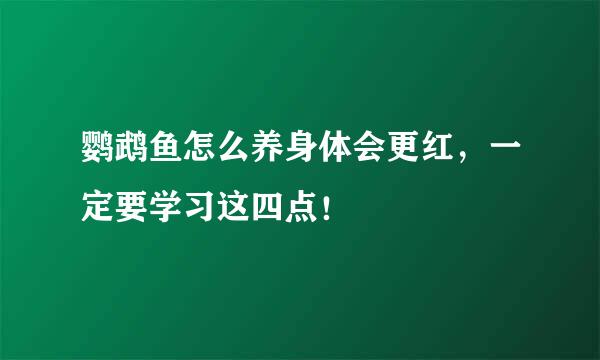 鹦鹉鱼怎么养身体会更红，一定要学习这四点！