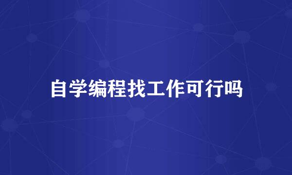 自学编程找工作可行吗
