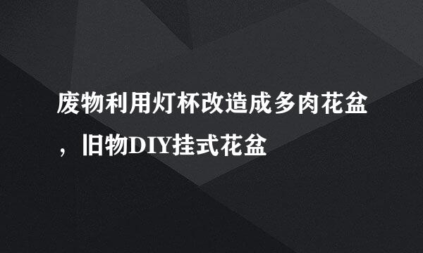 废物利用灯杯改造成多肉花盆，旧物DIY挂式花盆