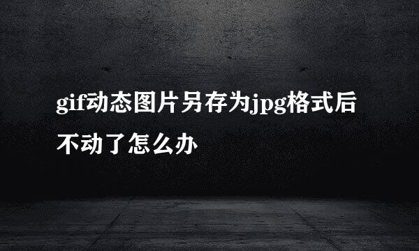 gif动态图片另存为jpg格式后不动了怎么办